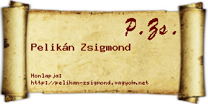Pelikán Zsigmond névjegykártya