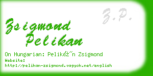 zsigmond pelikan business card
